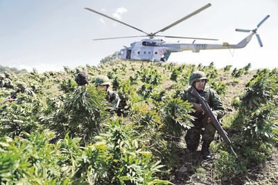 Florece narcolaboratorio en territorio de “El Chapo”