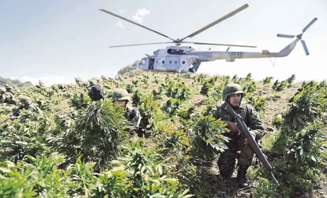 Los militares asignados a la Operación Integral Sinaloa-Durango destruyen hasta 50 plantíos de entre 50 metros cuadrados y hasta media hectárea al día, si las condiciones de seguridad y meteorológicas los favorecen (IVÁN STEPHENS)
