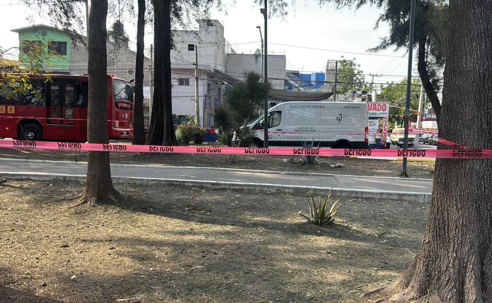El impacto le provocó una fuerte lesión en la cabeza, por lo que quedó tendido junto a un árbol de la zona
Foto: Juan Carlos Williams