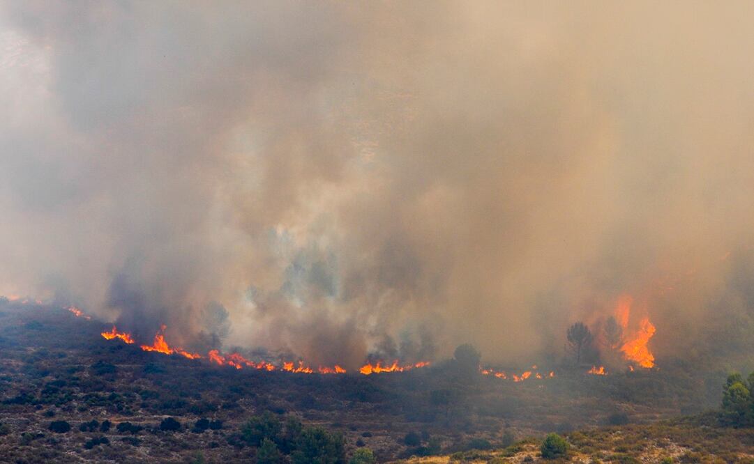 El incendio, que tiene un perímetro de 50 kilómetros, ha destruido hasta ahora 5 mil hectáreas de terreno, con 225 bomberos trabajando durante la noche para controlar las llamas. Foto: EFE