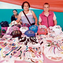 “Reforma no promueve arte popular”