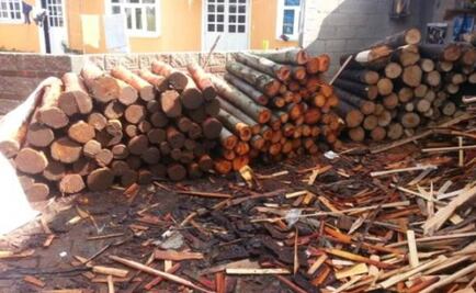 Clausuran 3 aserraderos en Reserva de la Mariposa Monarca