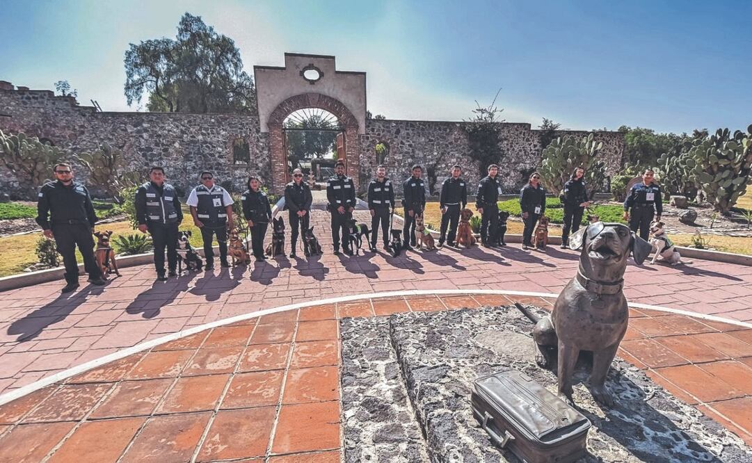 Los binomios caninos son integrados por un oficial del Senasica y un perro entrenado. FOTOS: ESPECIAL