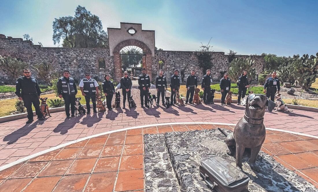 Los binomios caninos son integrados por un oficial del Senasica y un perro entrenado. FOTOS: ESPECIAL