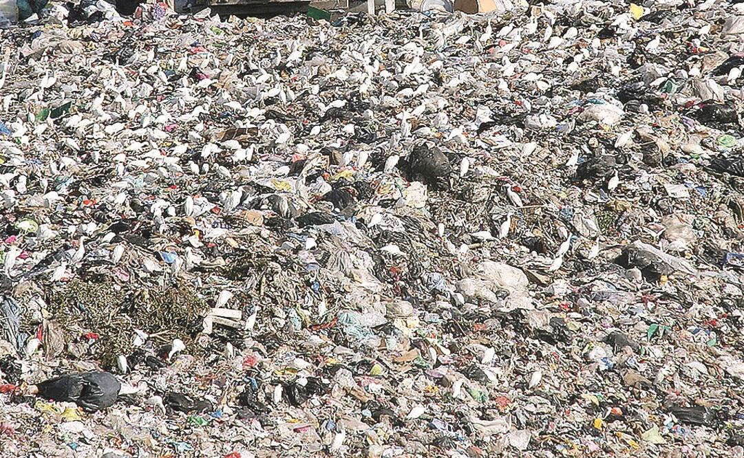 (Fotografía: Archivo)