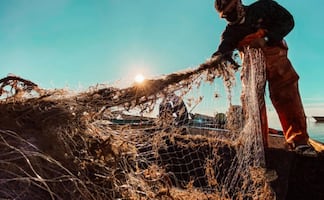 Sheinbaum se reúne con Grupo Interdisciplinario tras derrame petrolero en el Golfo; pescadores reciben apoyo de 15 mil pesos