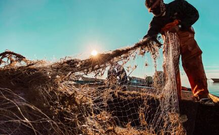 Sheinbaum se reúne con Grupo Interdisciplinario tras derrame petrolero en el Golfo; pescadores reciben apoyo de 15 mil pesos