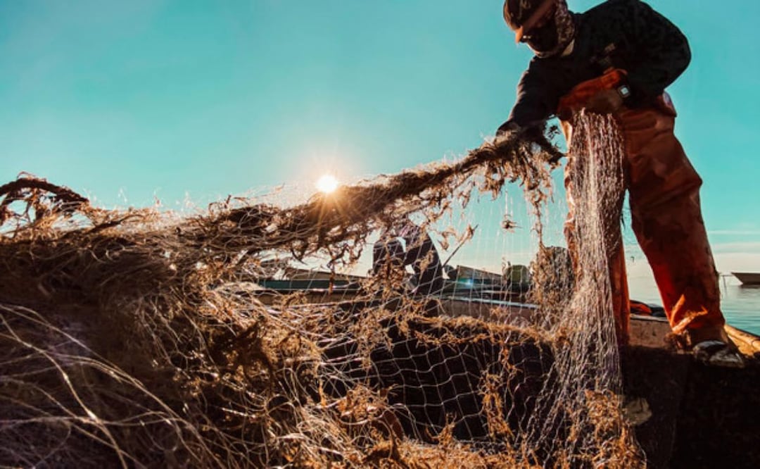 Gobierno de México apoya a pescadoras y pescadores afectados por derrame de hidrocarburo (01/04/2026). Foto: Especial