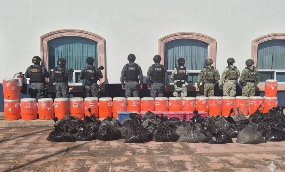 Desmantelan narcolaboratorio en Zacatecas (27/10/2025). Foto: Especial