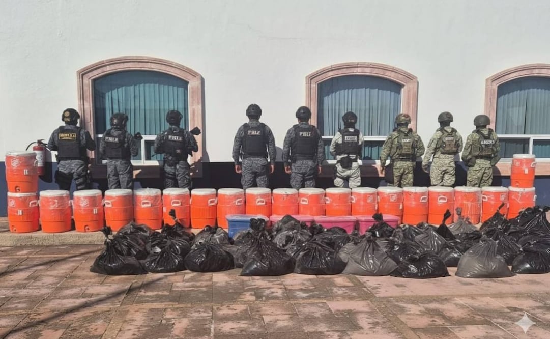 Desmantelan narcolaboratorio en Zacatecas (27/10/2025). Foto: Especial