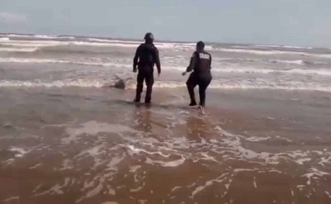 La Secretaria de Seguridad de Tamaulipas confirmó que este rescate ocurrió la tarde del jueves 28 de enero.      Foto: Tomada del video 