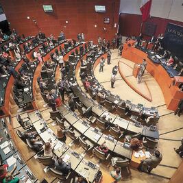 Senado retoma aporte de la ONU