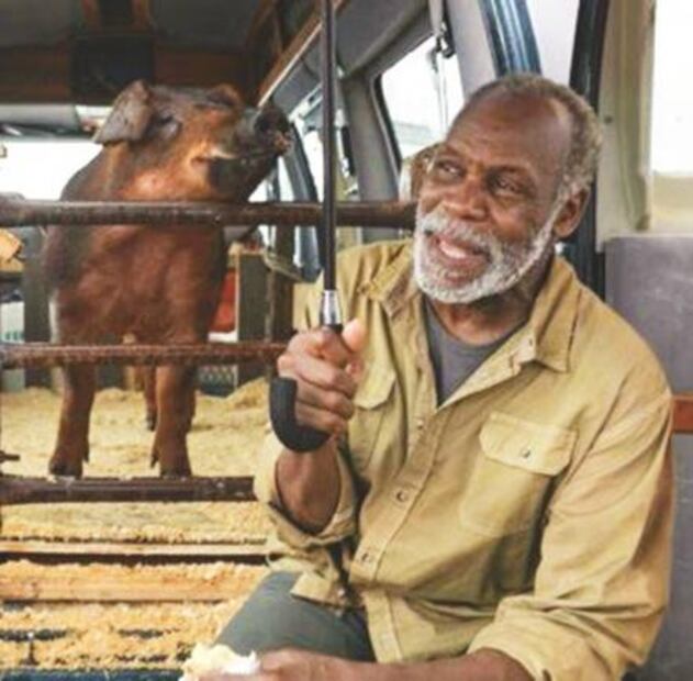 Los gringos vistos por el cine mexicano 