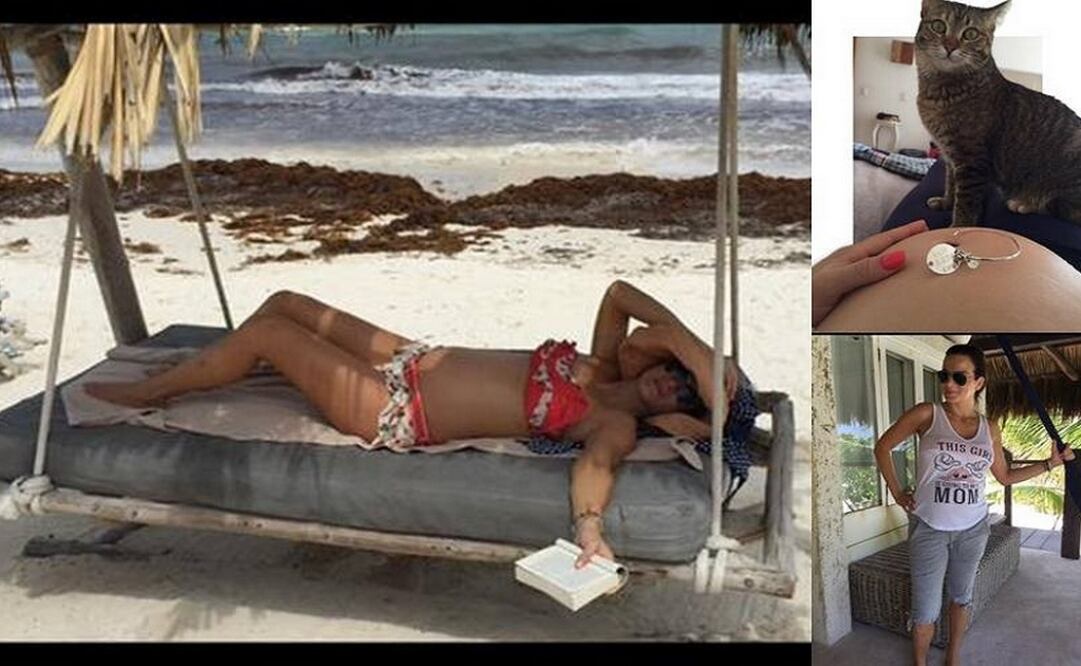 @silvnavarro Twitter