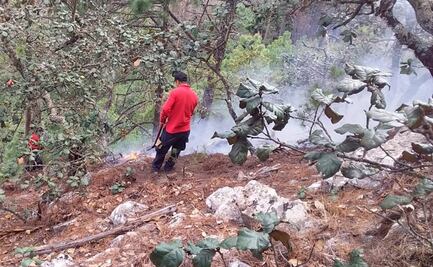 Brigadistas realizan labores para controlar incendio forestal en 3 municipios de Hidalgo