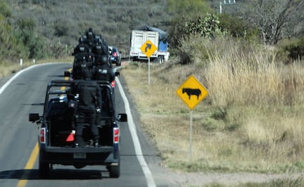 Investigan secuestro de 8 jóvenes en Jalisco; tienen signos de tortura
