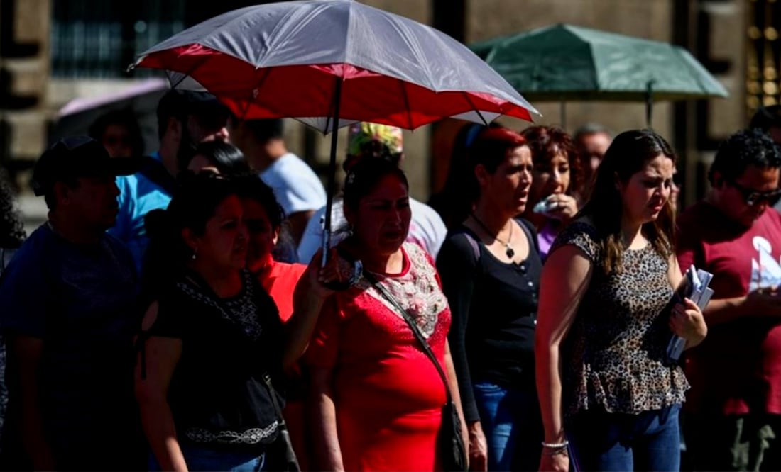 Imagen ilustrativa. Foto: archivo/EL UNIVERSAL