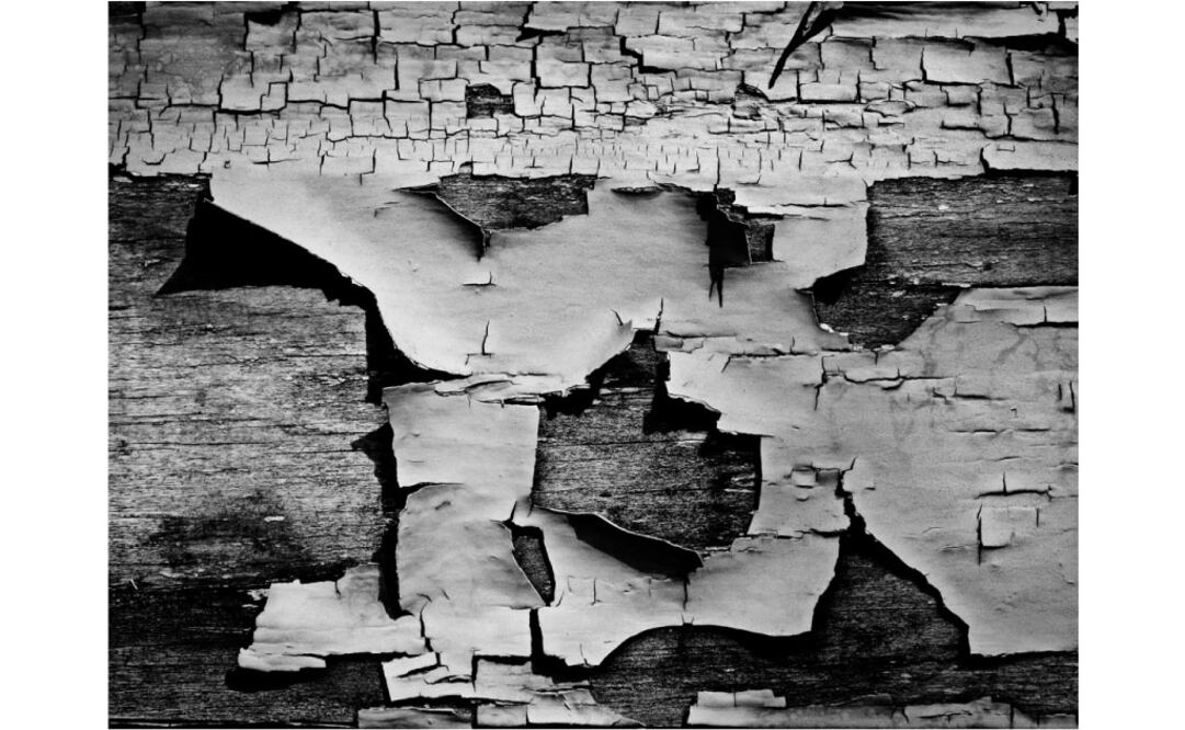Aaron Siskind, fotógrafo de la abstracción americana