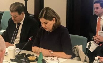 Martha Bárcena envía carta de condolencias a senadores mormones de EU