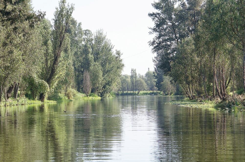 El suelo de conservación en el DF comprende la zona rural y forestal. Representa 58% de la ciudad de México (ARCHIVO EL UNIVERSAL)