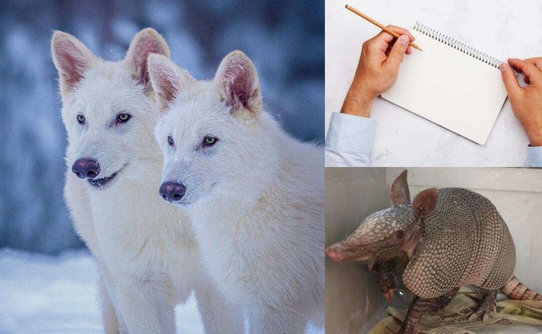 ¿Qué se celebra hoy, 13 de agosto?