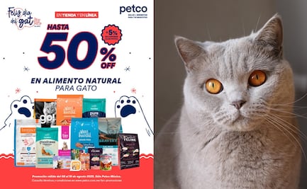 Petco anuncia promociones y juguetes gratis por el Día del Gato; ¿cómo aplica la oferta?
