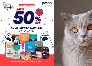 Petco anuncia promociones y juguetes gratis por el Día del Gato; ¿cómo aplica la oferta?