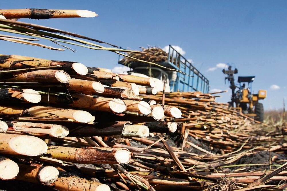 Como parte del convenio se logró que no se coloquen aranceles al azúcar con lo cual se seguirá exportando ese producto, informó Adrián Sánchez, líder del sindicato de esa industria. (ARCHIVO EL UNIVERSAL)