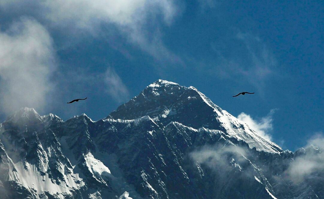 Foto: Archivo / EL UNIVERSAL 