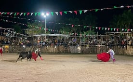 Suspenden otra corrida de toros en Yucatán; se trata del cuatro municipio que deberá acatar la prohibición de estos eventos