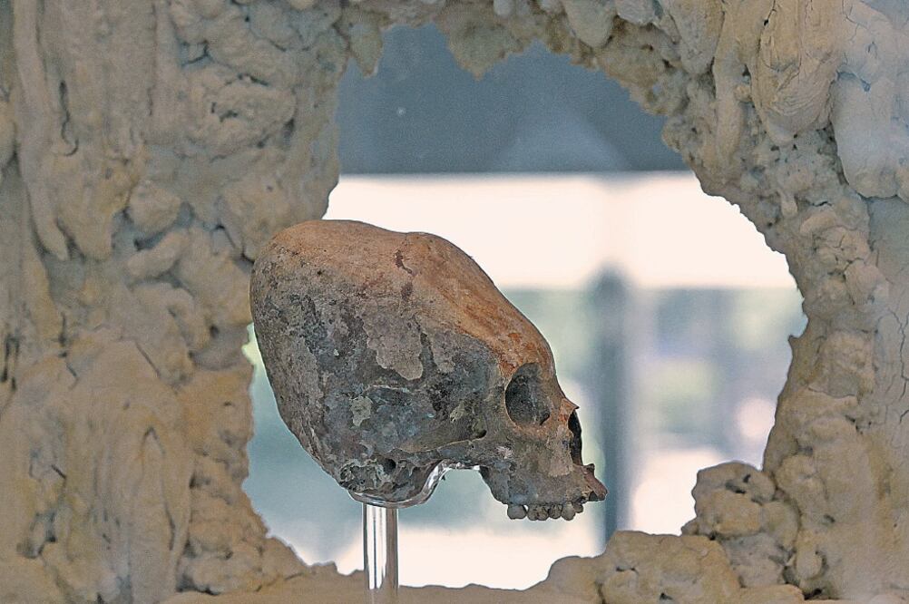 El Museo de Antropología muestra los hallazgos en Tacotalpa, Tabasco (MARIO GUZMÁN. EFE)
