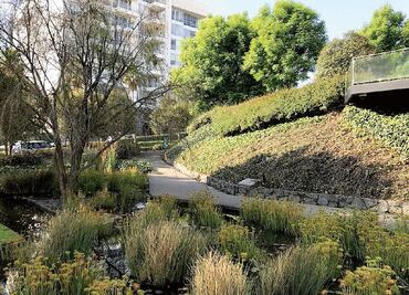 Lomas del Pedregal alista desarrollo sustentable