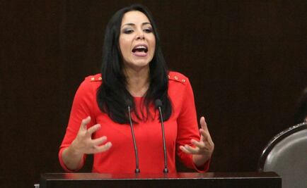 Diputada del PRI hace extrañamiento a Zambrano