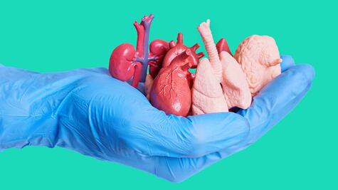 Los nuevos retos de la donación de órganos