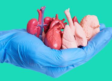 Los nuevos retos de la donación de órganos