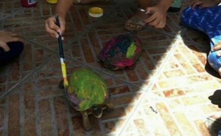 Causa polémica estancia infantil de Chetumal en la que niños pintaron caparazones de tortugas