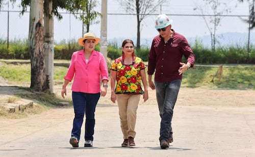 Mexico City to Plant 35,000 Trees in National Reforestation Drive; Brugada Pledges Citywide Planting Program