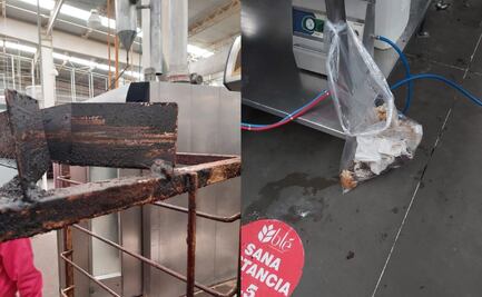 Suspenden panificadora en Tecámac; hallan ratas en los anaqueles