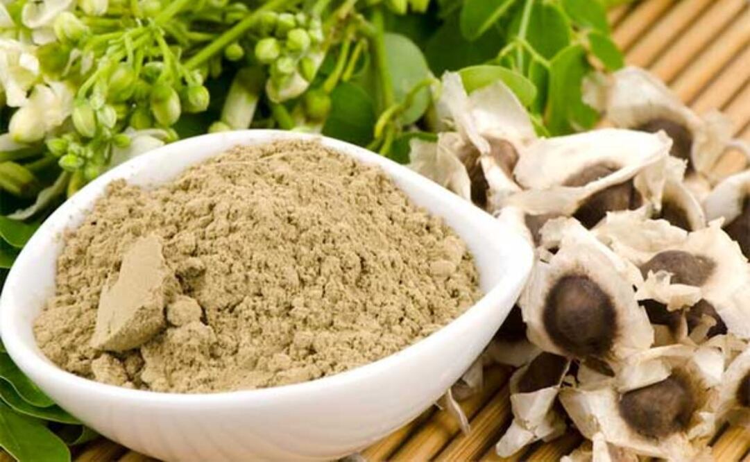 La moringa tiene múltiples beneficios para la salud. Imagen: SIAP