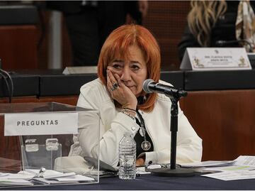 Del “quedó claro quien sigue mandando en Morena” al “yo sí le voy a Rosario”; las reacciones por la reelección de Piedra Ibarra en la CNDH