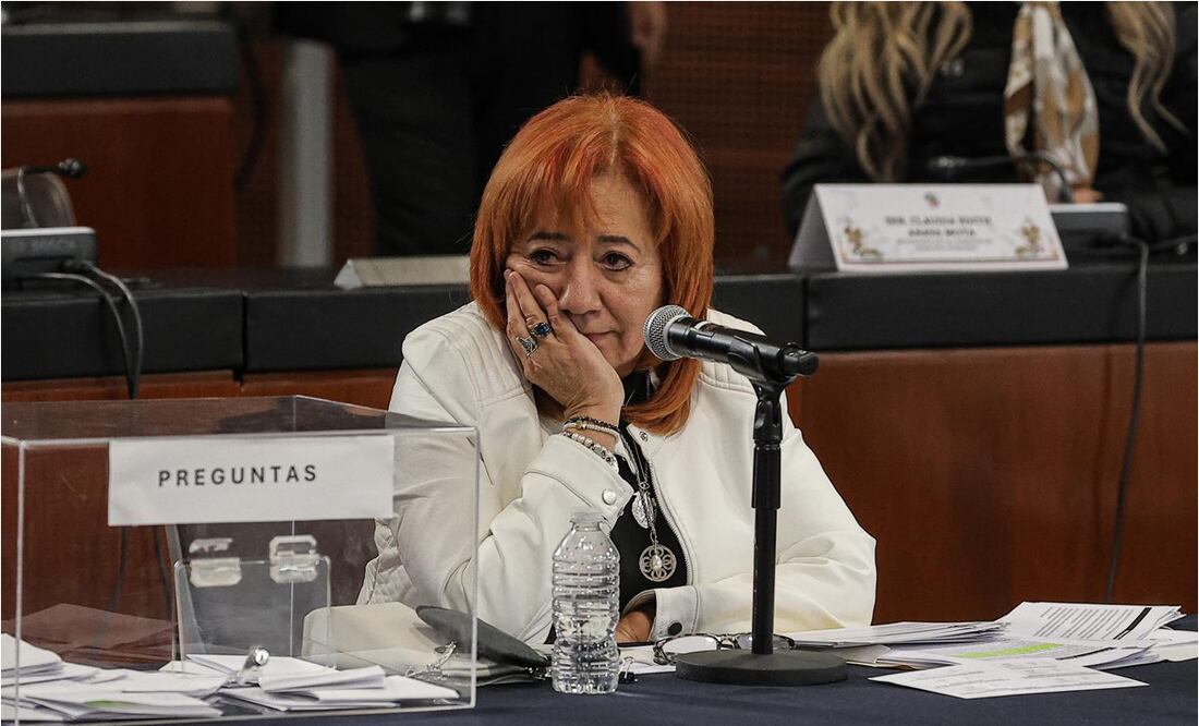 Rosario Piedra usó carta falsa en busca de la CNDH; “fue sin malicia, en el entendido que era real”, dice | El Universal
