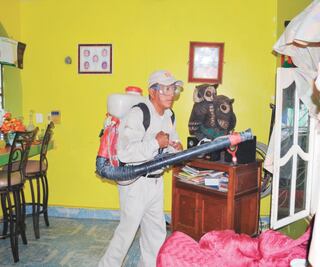 Subestiman al mosco del dengue como factor de riesgo