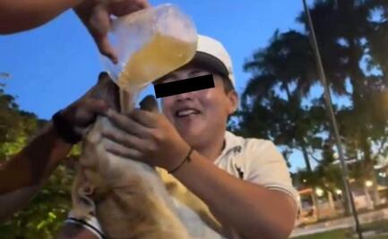 Exhiben a 2 sujetos dando bebidas alcohólicas a un perrito en Yucatán; los acusan de crueldad animal