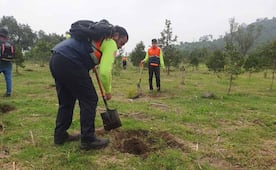 Iztapalapa plantará 20 mil árboles en el Cerro de la Estrella; busca reverdecer 50 hectáreas del Huizachtépetl