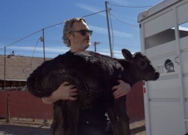 Joaquin Phoenix salva a una vaca y su cría de un matadero