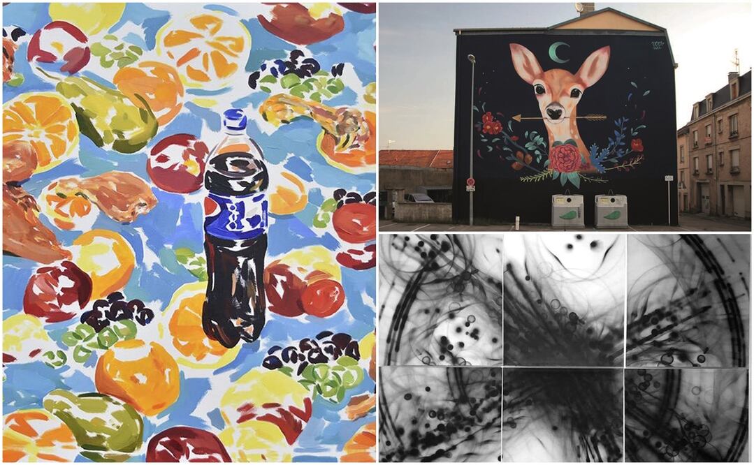 FOTOS: CORTESÍA FAIN