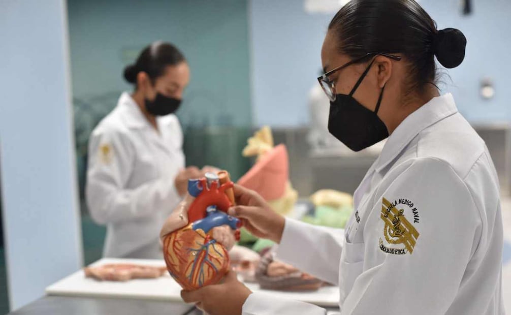 Semar lanza convocatoria para participar en el ingreso a sus Establecimientos Educativos Navales. Foto: Especial