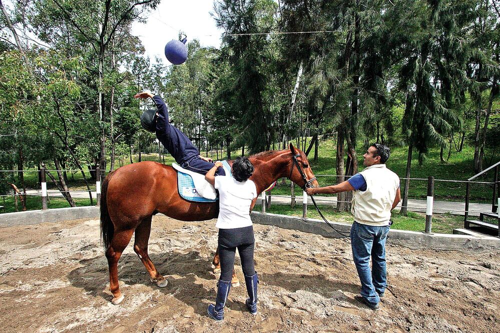 Los pequeños pacientes realizan varias actividades montados en los caballos, como jugar con pelotas y aros de colores con la finalidad de reforzar la motricidad. FOTO: OMAR CONTRERAS