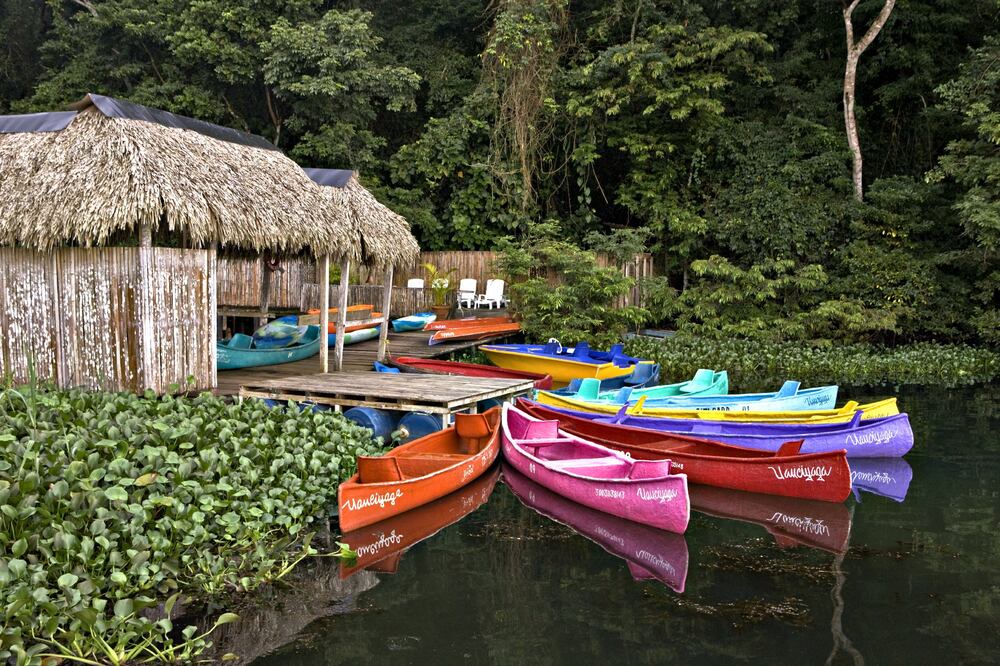 Valles que son regados naturalmente por El Nacimiento. Visita el manantial y espectáculo que se da entre brotes de agua, como fuentes, de entre las piedras y las montañas. (Foto: Cortesía Turismo de Veracruz)