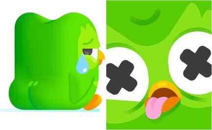 Duolingo anuncia muerte de su mascota y estremece las redes sociales; “tenía muchos enemigos”